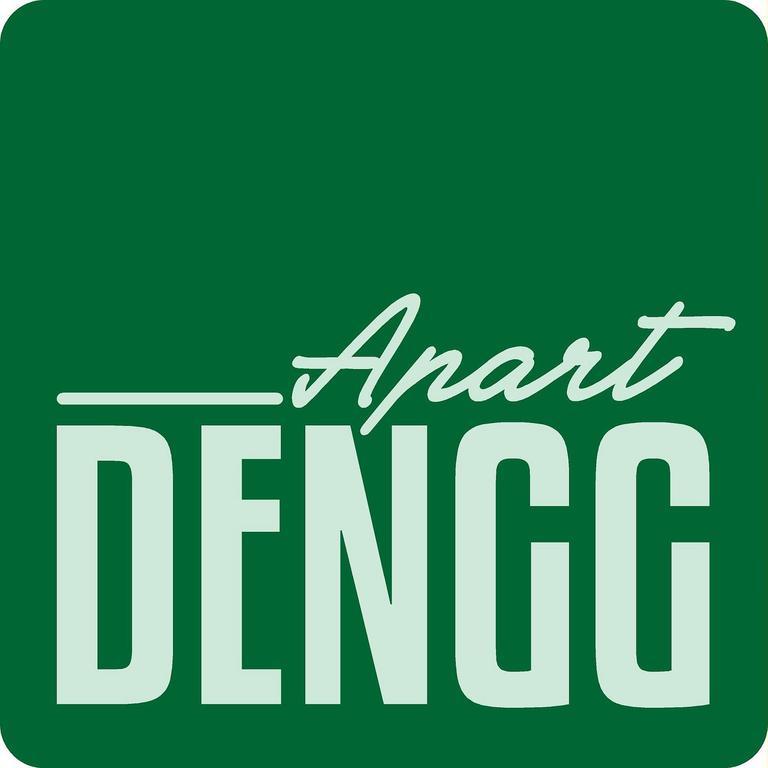 Apart Dengg Apartment Kaltenbach